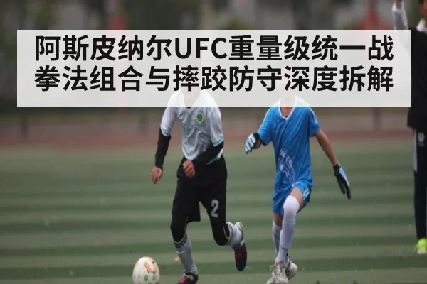 阿斯皮纳尔UFC重量级统一战 拳法组合与摔跤防守深度拆解 | chaofangames